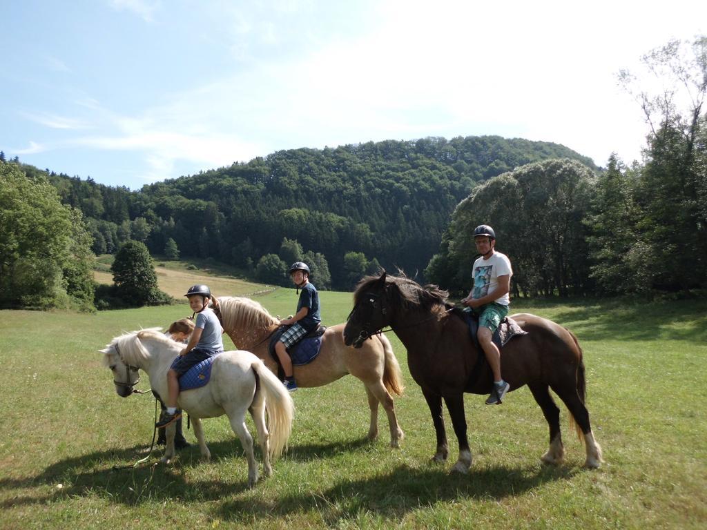 Stárkov Green Valley Parkヴィラ エクステリア 写真