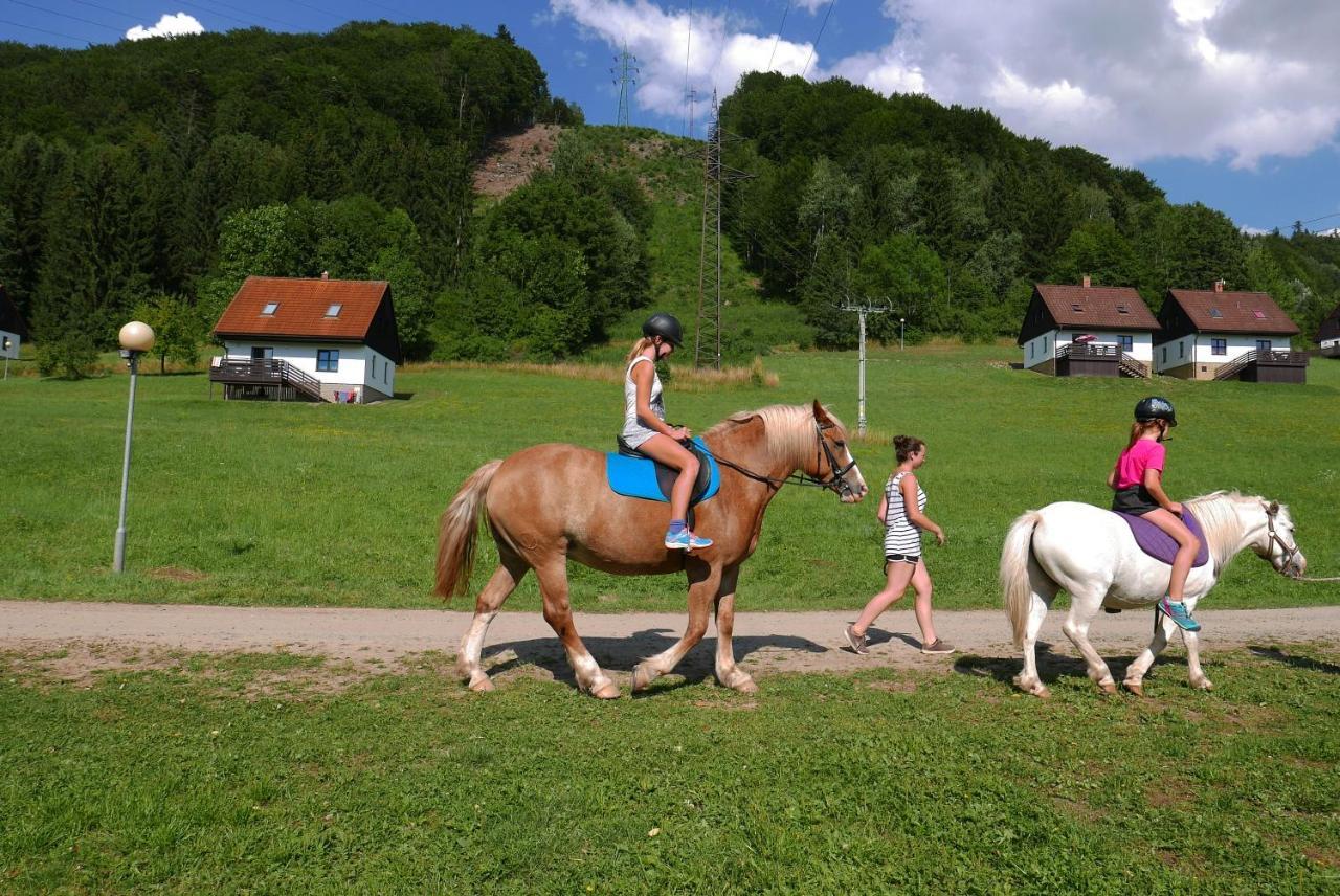 Stárkov Green Valley Parkヴィラ エクステリア 写真