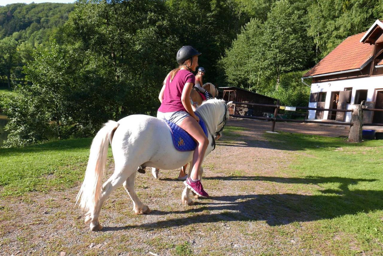 Stárkov Green Valley Parkヴィラ エクステリア 写真